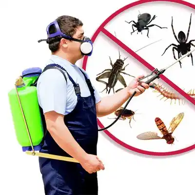 pest control Cannonsburg